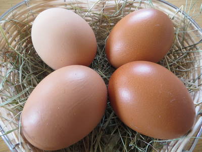 Bild 35 aus  Raffreiderhof