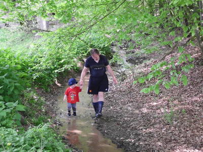 Bild 14 aus  Ferienhof Larrieder Mühle