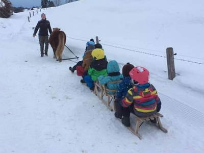 Bild 12 aus  Ferienhof Soyer