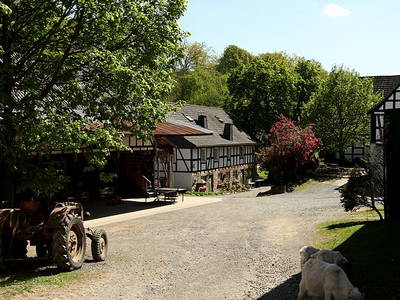 Bild 3 aus  Bauernhof Heinemann