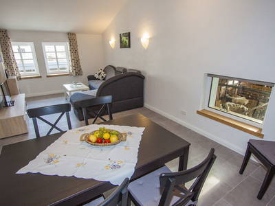 Bild 11 aus  Ferienbauernhof Voß