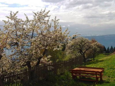 Bild 12 aus  Spörlhof