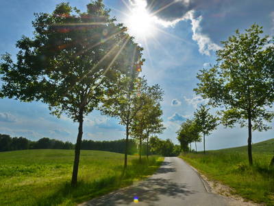 Bild 21 aus  Ferienhaus Pieverstorf 1