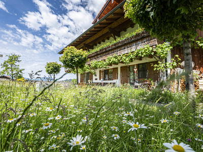 Bild 8 aus  AlpenFerienLandhaus Müller