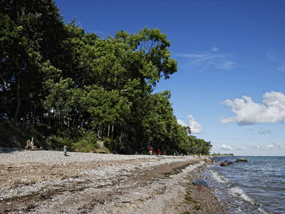 Bild 4 aus  Ferienhof Augustenhöhe