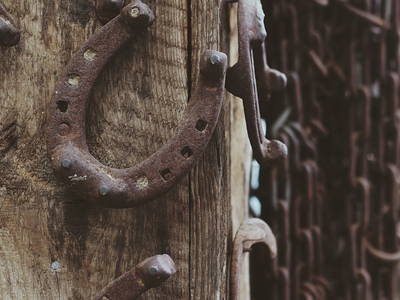 Bild 13 aus  Ferienparadies am Rennweg