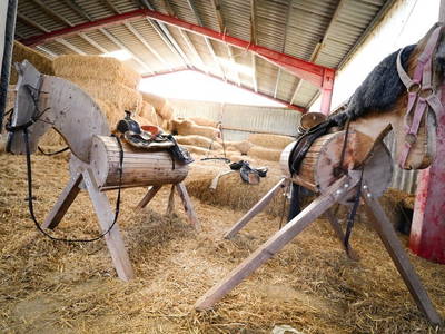 Bild 14 aus  Premium - Ferienhof Lunau