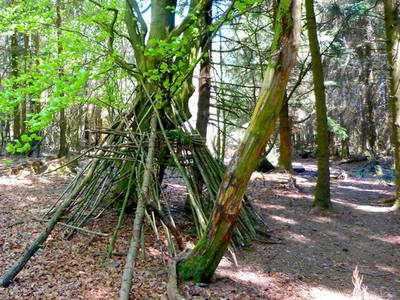 Bild 22 aus  Victorhof Ferienwohnungen