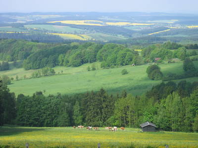 Bild 14 aus  Vogtlandhof Hohe Reuth