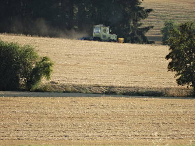 Bild 39 aus  Ferienhof "Familie Groh"