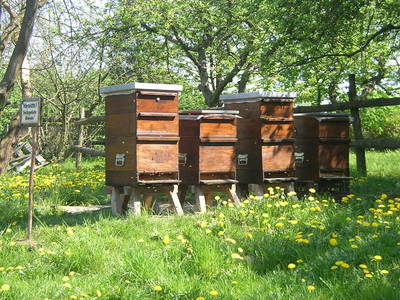 Bild 19 aus  Behringhof am Gamengrund