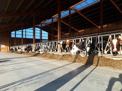 Bild 18 aus  Hof Keppel, der stromlose Urlaub