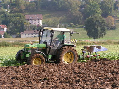 Bild 31 aus  Familien-Bauernhofurlaub im Herzen der Schweiz
