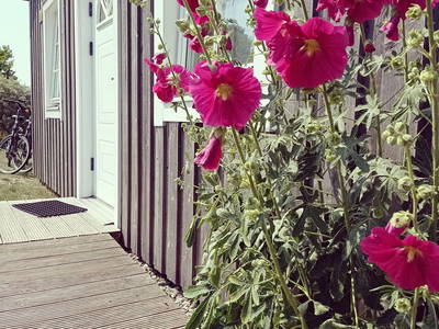 Bild 10 aus  STRANDDORF AUGUSTENHOF  - Ferienhäuser direkt an der Ostsee