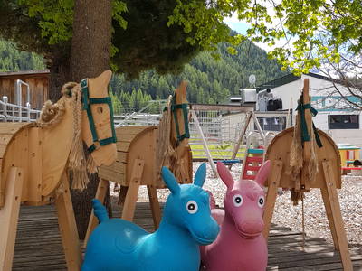 Bild 15 aus  Reiterhof Alpin Appart