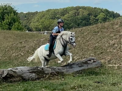 Bild 5 aus  Reiterhof Tramm