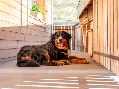 Bild 21 aus  Schweinsteghof