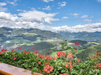 Bild 16 aus  Pirchnerhof