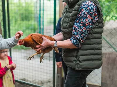 Bild 20 aus  Ferienhof Groth/ Hof Herzleuchten