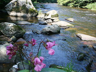 Bild 22 aus  Ferienhof Schmauß