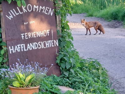 Bild 8 aus  Ferienhof Hafflandsichten auf Usedom