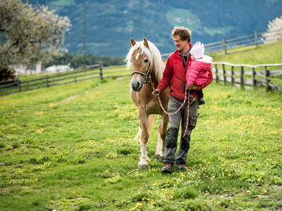 Bild 5 aus  Hatzeshof