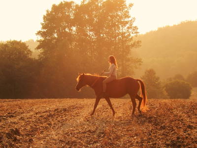 weitläufiges Wander- und Reitwegenetz vor herrlicher Kulisse