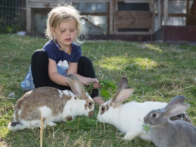 Bild 16 aus  Seimehof - Ihre Wohlfühloase am Chiemsee mit Herzlichkeit und Naturgenuss