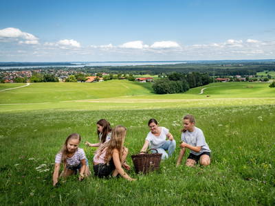 gemeinsame Fütterrunde