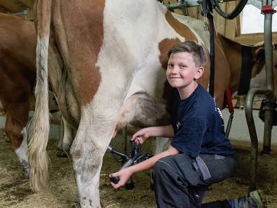 Bild 7 aus  Martenhof