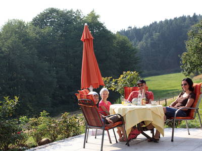 Bild 38 aus  Schlosshof - der Urlaubsbauernhof