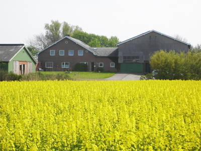 Bild 2 aus  Ferienhof Friedenshof