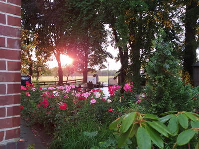 Bild 7 aus  Eichenhof