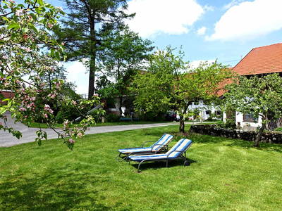 Bild 10 aus  Martinshof