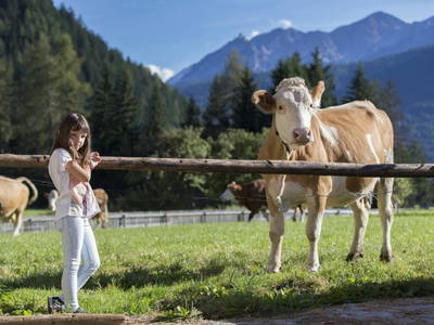 Bild 9 aus  Landhof - Familie Mairhofer