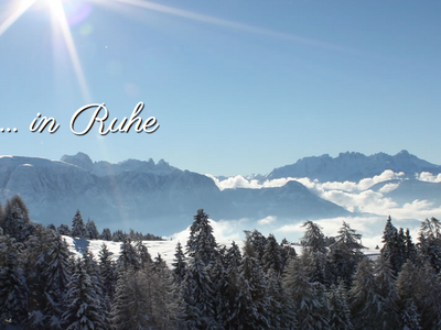 Bild 25 aus  Weidacherhof