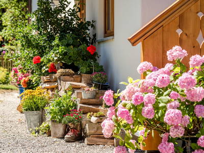 Bild 5 aus  Beim Paulfischer direkt am Chiemseeufer