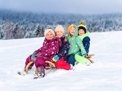 Bild 3 aus  "Forellen - Reiterhof" 5 Sterne Hof direkt am See