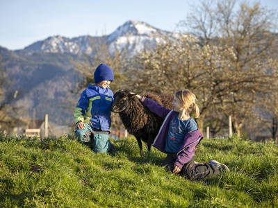 Bild 21 aus  Zaißlhäusl Hof inkl. Chiemgau-Karte ab 1.5.2026
