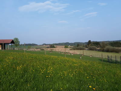 Bild 7 aus  Karlshof