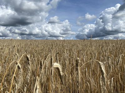 Bild 13 aus  Neulandhof-Spöring