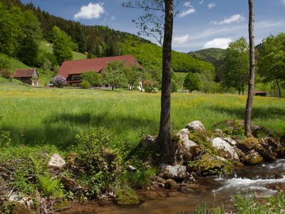 Bild 16 aus  Schingerhof