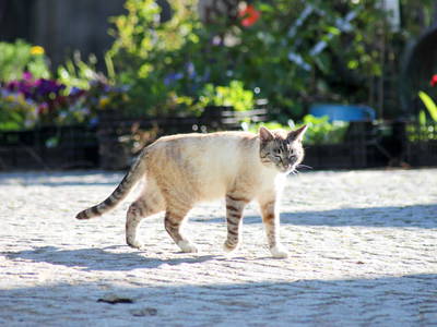 Bild 13 aus  Reit-, Pensions- und Ferienhof Zehendner