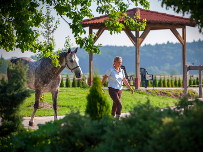Bild 7 aus  Ferienwohnungen Seehof am Waginger See