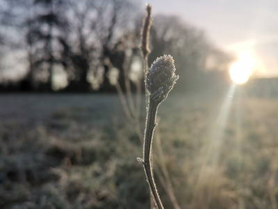 Bild 215 aus  Le Colombié - Ferienhäuser an der Dordogne mieten