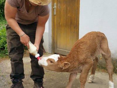 Bild 21 aus  Gut Boltenhof