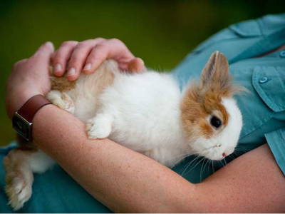 Bild 21 aus  Hof Hainholzblick