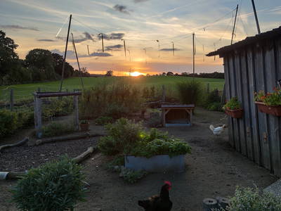 Bild 20 aus  Hof in de Wisch - Natur-Erlebnishof für Neugierige