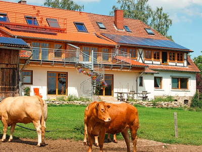 Bild 2 aus  Gripshof