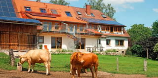 Gripshof aus Schieder-Schwalenberg